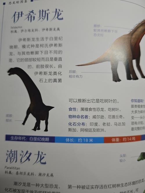 揭秘梦见恐龙的5大心理暗示及其科学解释【专家分析】