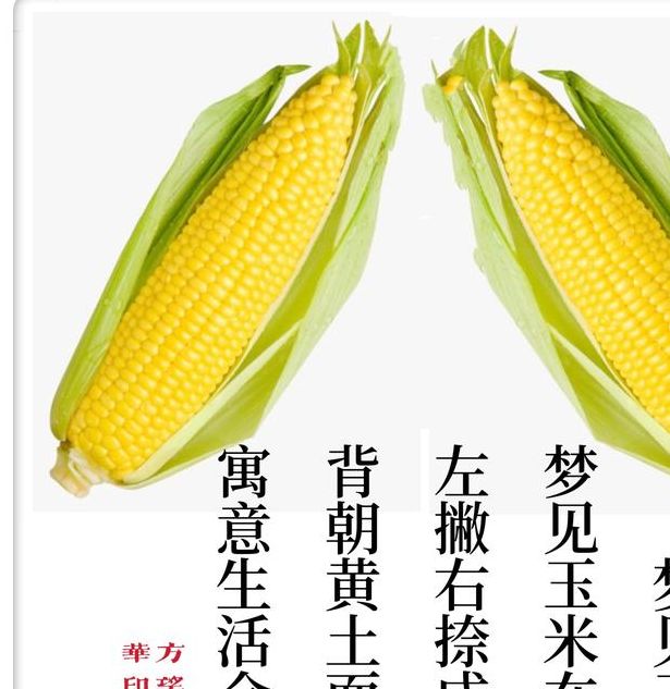 梦见玉米的深层寓意及心理影响解析，提升生活幸福感