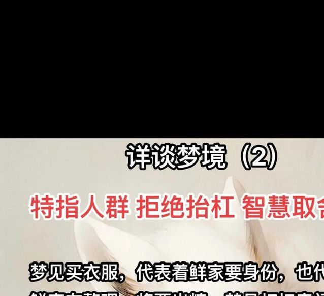 梦见皮衣服象征意义揭秘心理暗示 vs 现实反思