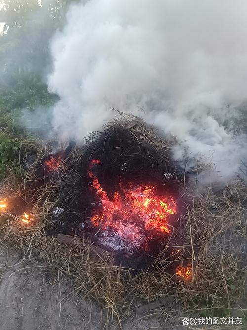 梦见柴火熊熊燃烧预示哪些？揭秘背后隐藏的玄机！