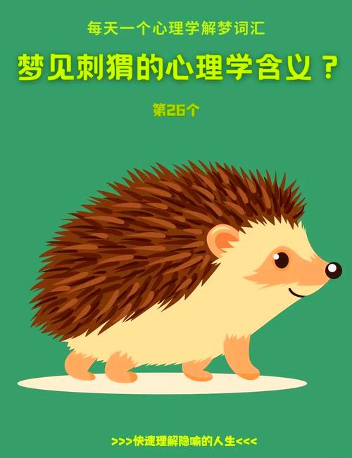 梦见刺猬寓意揭秘有效应对方法及心理解析