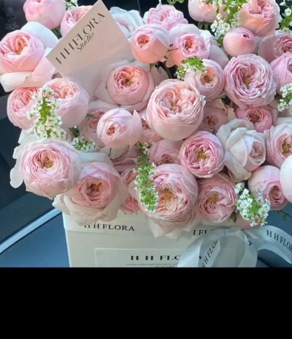 梦见长裙背后隐藏的秘密，揭示你的潜意识！