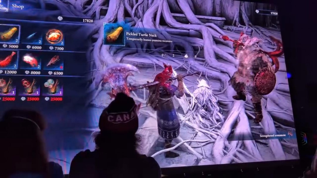 你准备好迎接挑战了吗？探索〈艾尔登法环：黑夜君临〉超长实机演示与合作打怪技巧！