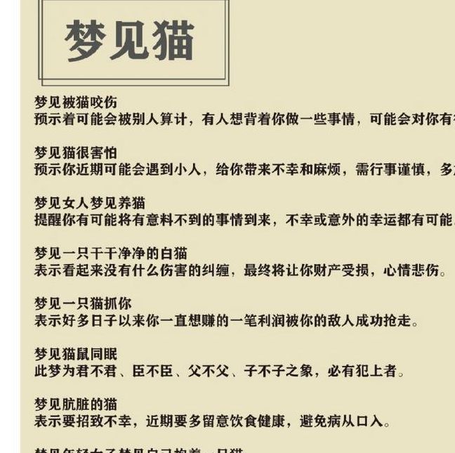 梦见猫生小猫寓意深远，揭开背后隐藏的秘密！
