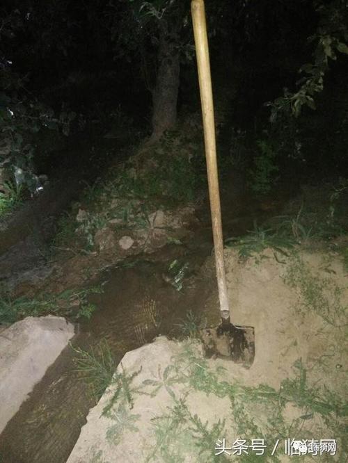 梦见浇地意味着哪些？解读背后的心理暗示及现实启示