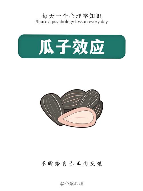 梦见瓜子解析揭示5个不可忽视的心理暗示