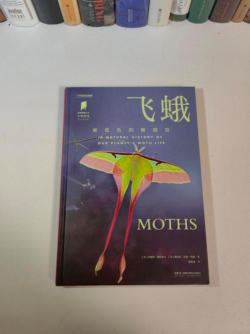 梦见灯蛾预示哪些？探索梦境与生活隐秘联系