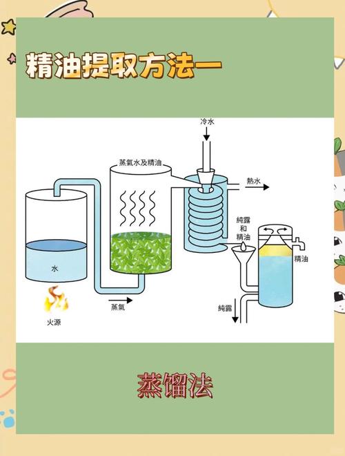 神秘脂肪酸溶剂：芬兰如何颠覆传统银提取技术？