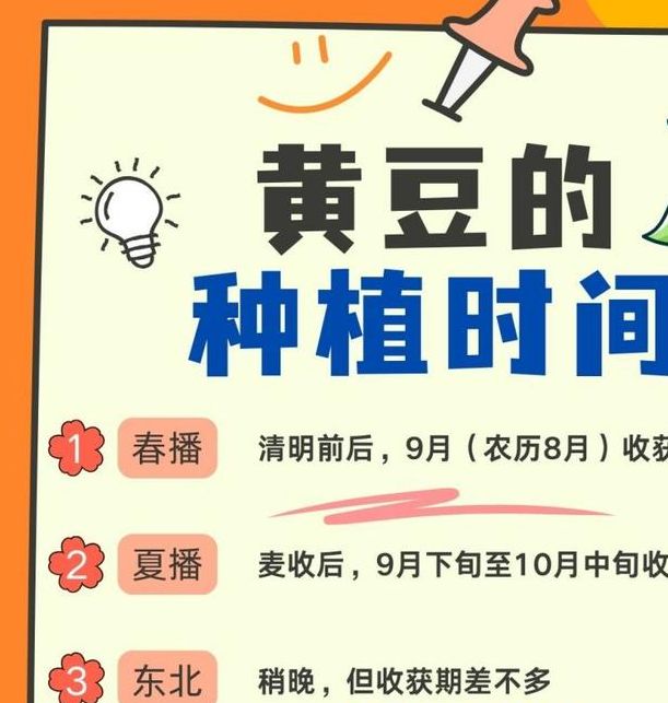 梦见种黄豆寓意解析提升财富运势的小技巧