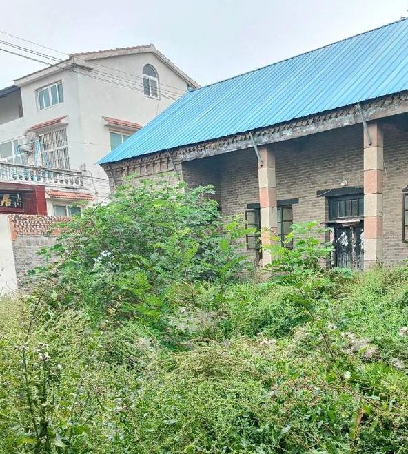 揭秘梦境院子长满杂草意味着哪些？专家深度解析