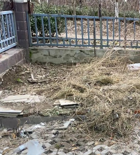 揭秘梦境院子长满杂草意味着哪些？专家深度解析