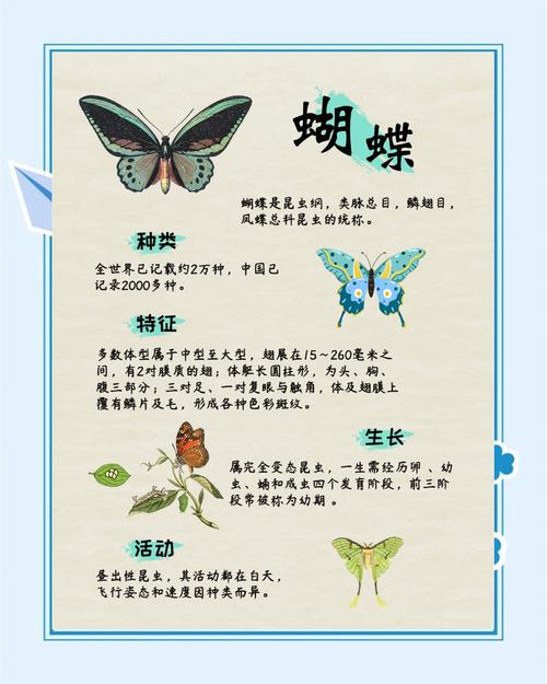 梦见蝴蝶的5大象征意义及其背后寓意解析 梦见蝴蝶的5大象征意义及其背后寓意解析