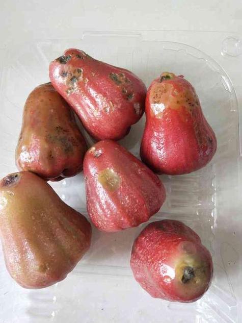 梦见腐烂瓜类解读梦境背后的心理暗示与现实影响