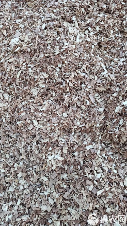 梦见木屑解析深入探讨木屑背后的心理暗示与启示