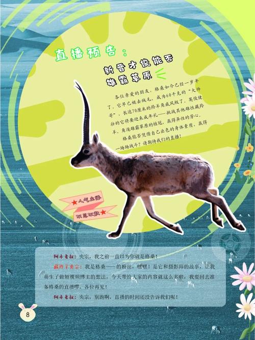 梦见藏羚羊的7大象征意义，解读梦境隐藏的信息