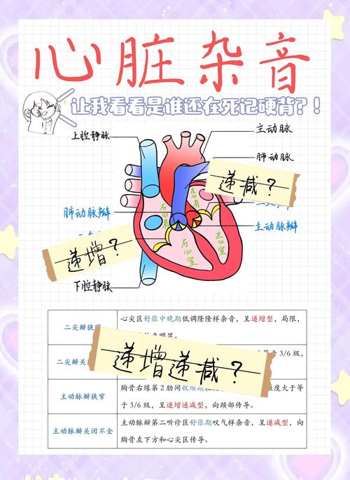 梦见心脏的深度解析心理暗示与健康预警结合