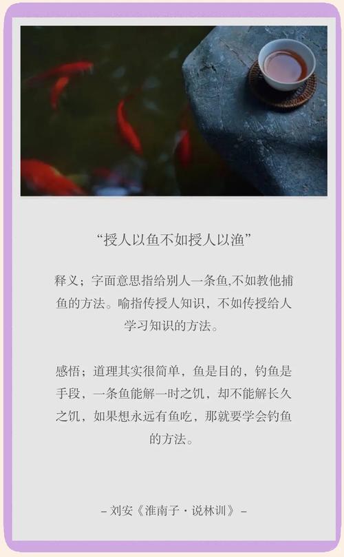 梦见喂鱼象征的意义及其对职场人际关系的启示