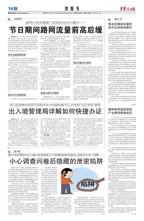 面对政治骗局：为何局长在2025年4月9日被骗走35万？揭秘防范措施！