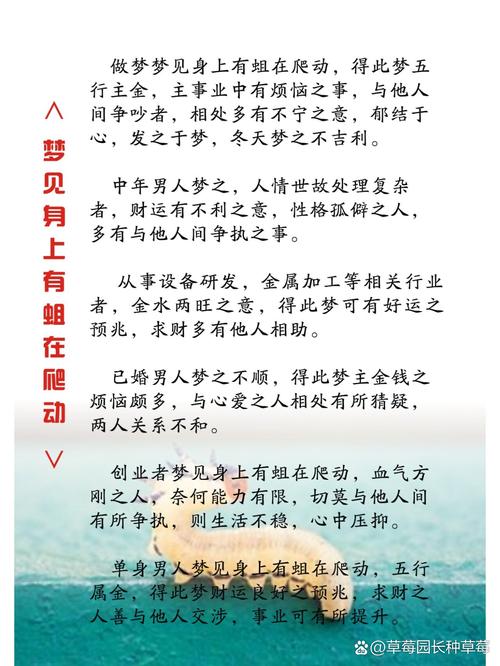揭秘梦见生蛆背后的心理因素，提升自我认知能力