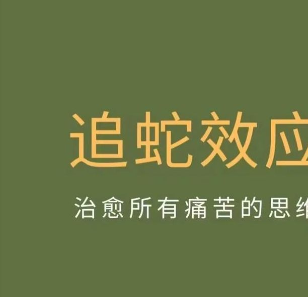 如何解读梦中蛇追逐寓意提升心灵成长的五个建议
