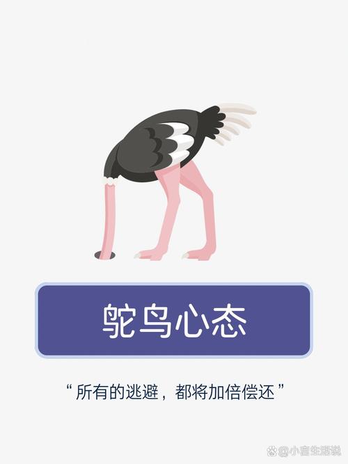 梦见鸵鸟解密心理象征与高效解决方案的关联