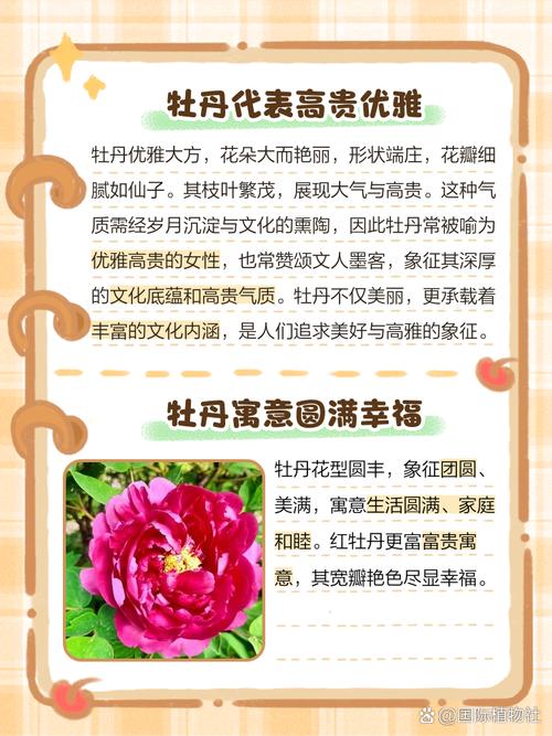 梦见天竺牡丹意味着哪些?揭秘梦境背后的深层含义 梦见天竺牡丹意味着哪些?揭秘梦境背后的深层含义