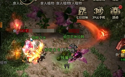 深度解析天天龙族法师玩法，助你轻松上分！