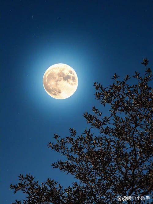 梦见月光如昼揭开密云散开的神秘寓意与潜藏启示 梦见月光如昼揭开密云散开的神秘寓意与潜藏启示