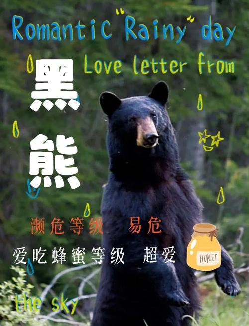 解梦指南梦见黑熊的5个心理分析与生活启示 解梦指南梦见黑熊的5个心理分析与生活启示