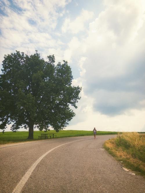 梦见路牌的8种解释与你的未来方向