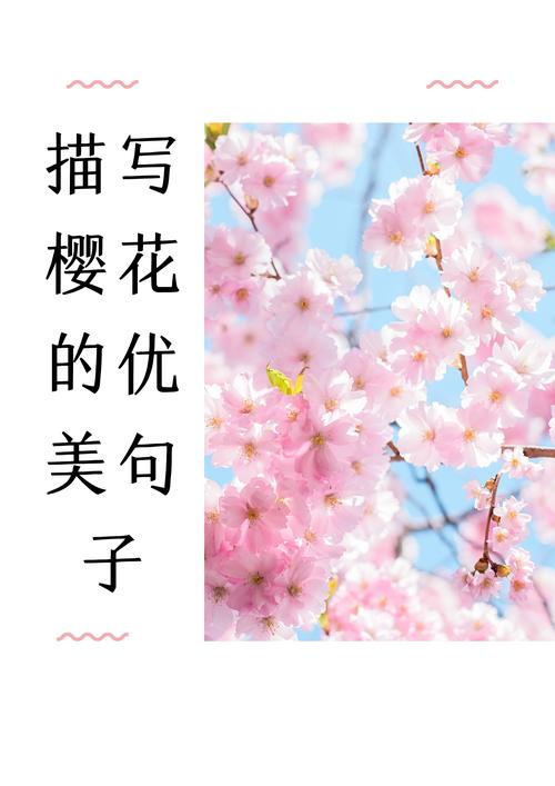 梦见樱花寓意解读揭示心灵成长的高效策略 梦见樱花寓意解读揭示心灵成长的高效策略