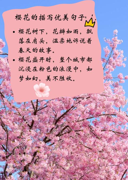 梦见樱花寓意解读揭示心灵成长的高效策略 梦见樱花寓意解读揭示心灵成长的高效策略