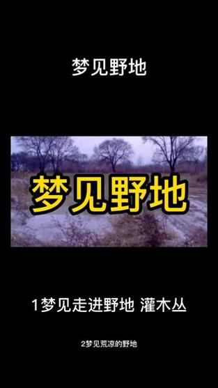 梦见野地的深意解析揭示心理变化与高效解决方案 梦见野地的深意解析揭示心理变化与高效解决方案