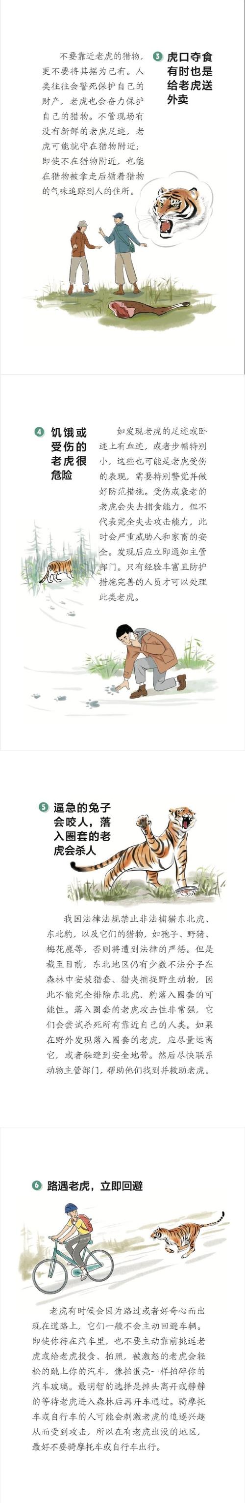 解读梦见虎豹探究背后3大心理暗示及影响 解读梦见虎豹探究背后3大心理暗示及影响