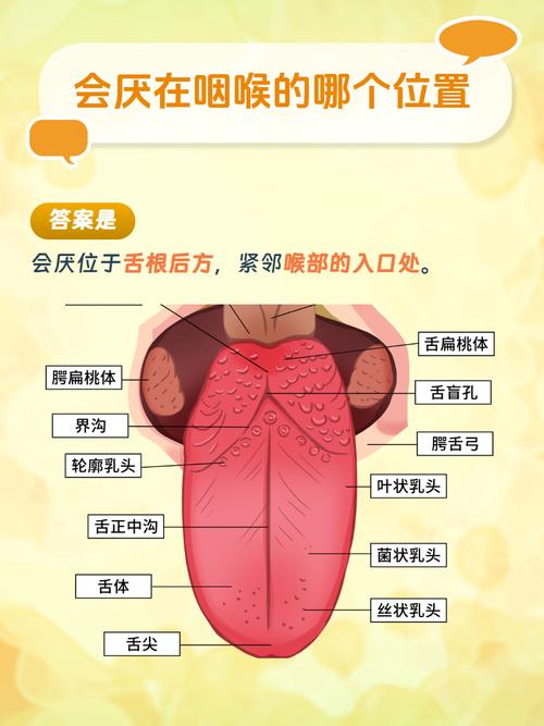 梦见咽喉象征意义解析深度剖析心理和健康关联