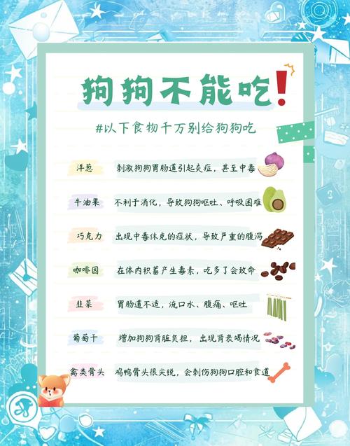 狗狗饮食误区：哪些食物让它们远离健康？