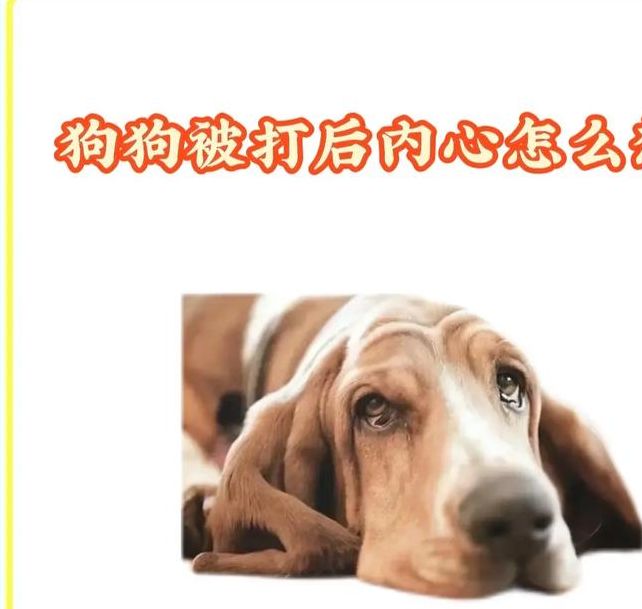 梦见狗被打的7个心理暗示与应对策略 梦见狗被打的7个心理暗示与应对策略