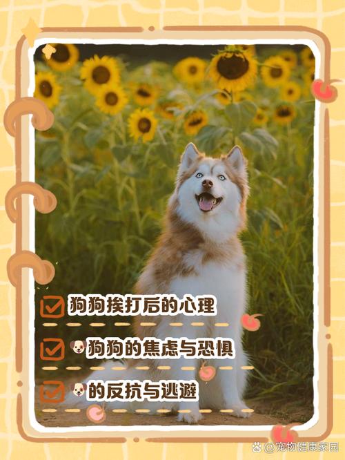 梦见狗被打的7个心理暗示与应对策略 梦见狗被打的7个心理暗示与应对策略