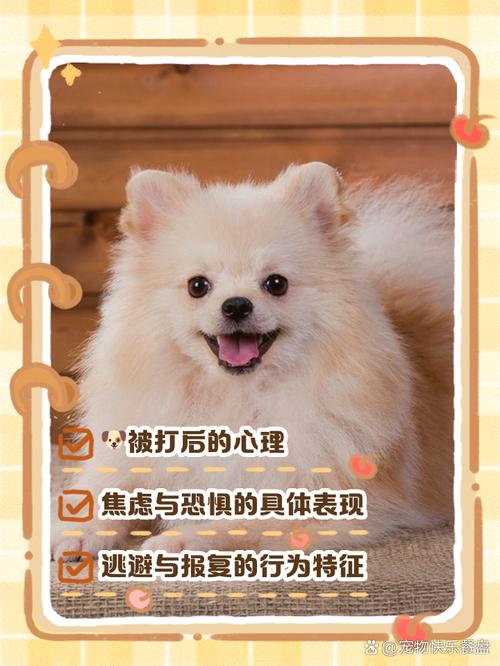 梦见狗被打的7个心理暗示与应对策略 梦见狗被打的7个心理暗示与应对策略