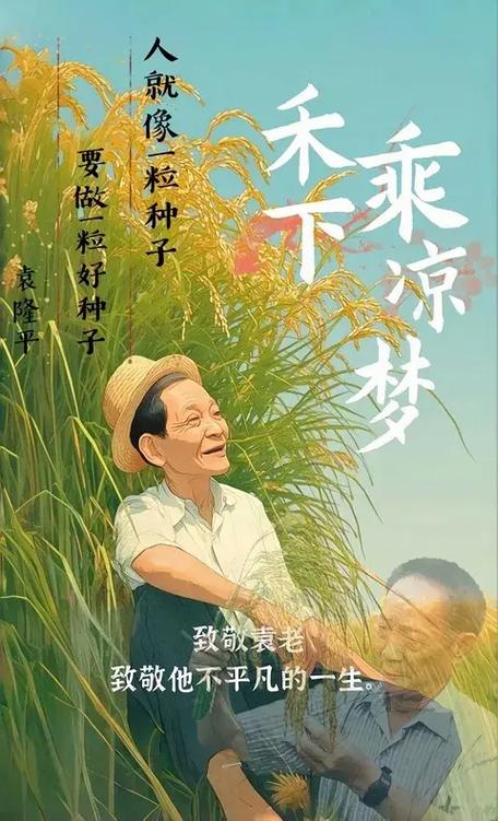 梦见水稻含义解读梦境暗示与现实财富的对比