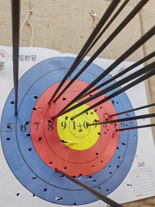 梦见靶子预示着哪些？揭示梦境背后的深层意义与启示