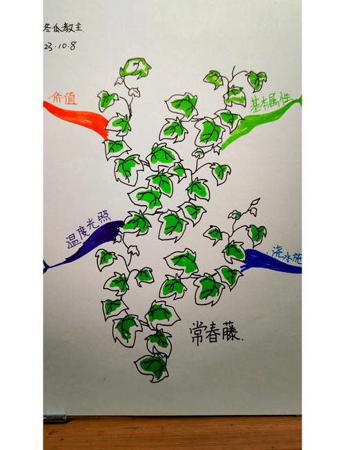 梦见常春藤象征意义与心理解析的深度比较