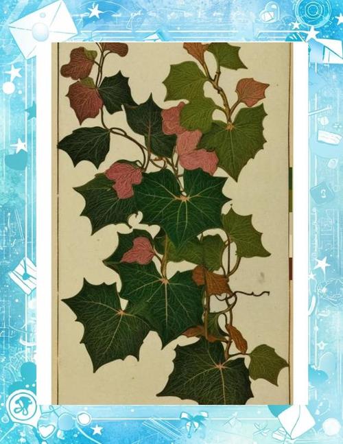 梦见常春藤象征意义与心理解析的深度比较