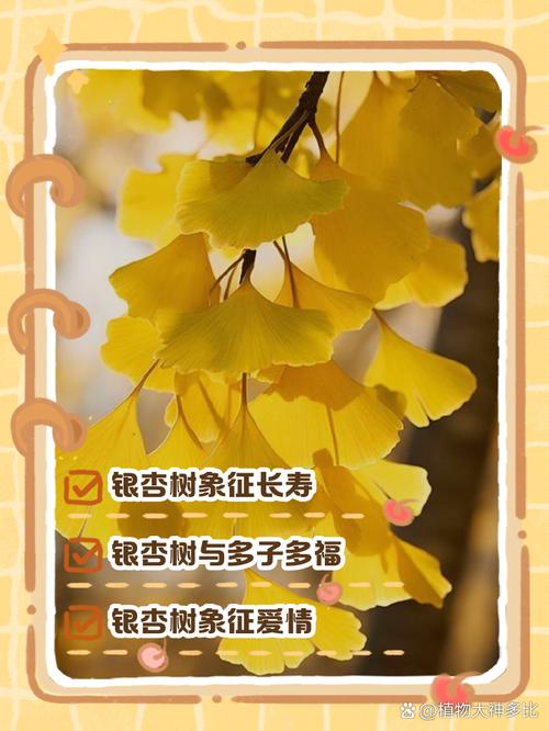 梦见银杏树的深层寓意如何解读梦境中的人生启示