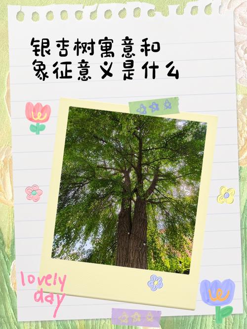梦见银杏树的深层寓意如何解读梦境中的人生启示
