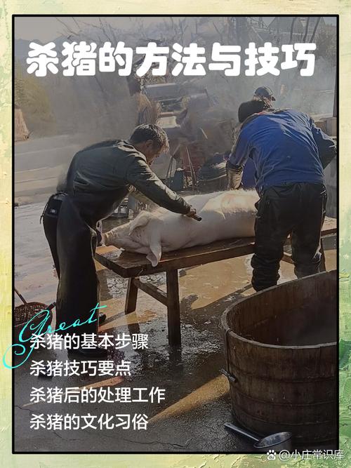 梦见宰杀猪的心理解析如何应对压力的高效解决方案