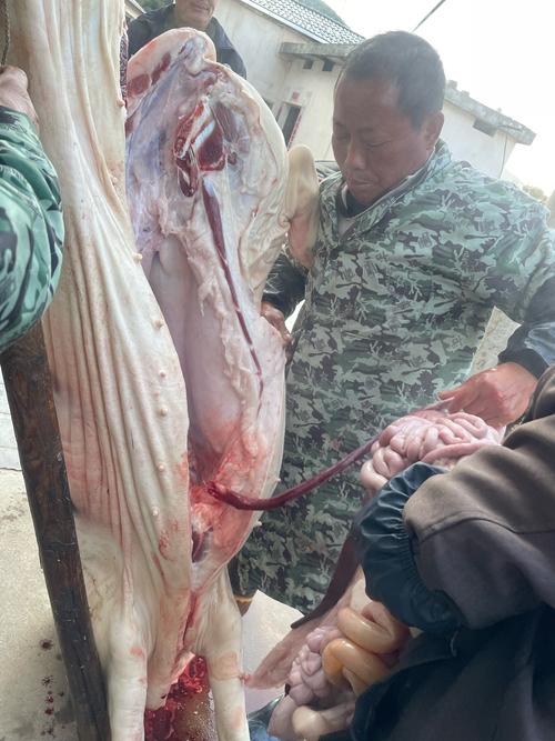 梦见宰杀猪的心理解析如何应对压力的高效解决方案