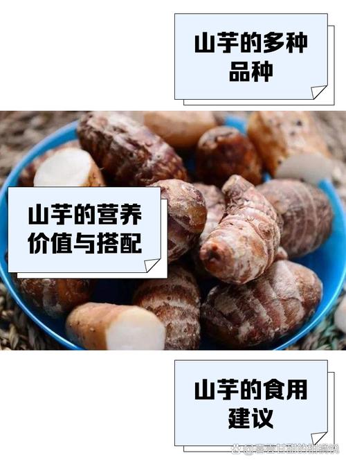 梦见山芋象征解析专家解读5个心理暗示与含义