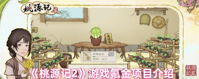 手游攻略秘籍：桃源记2氪金指南，轻松升级不花冤枉钱！