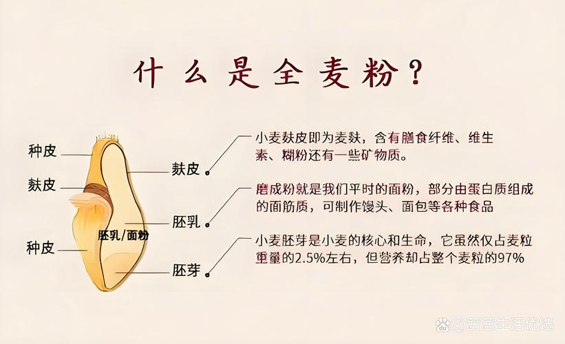 梦见面粉象征意义 vs 现实解读揭开隐藏的信息